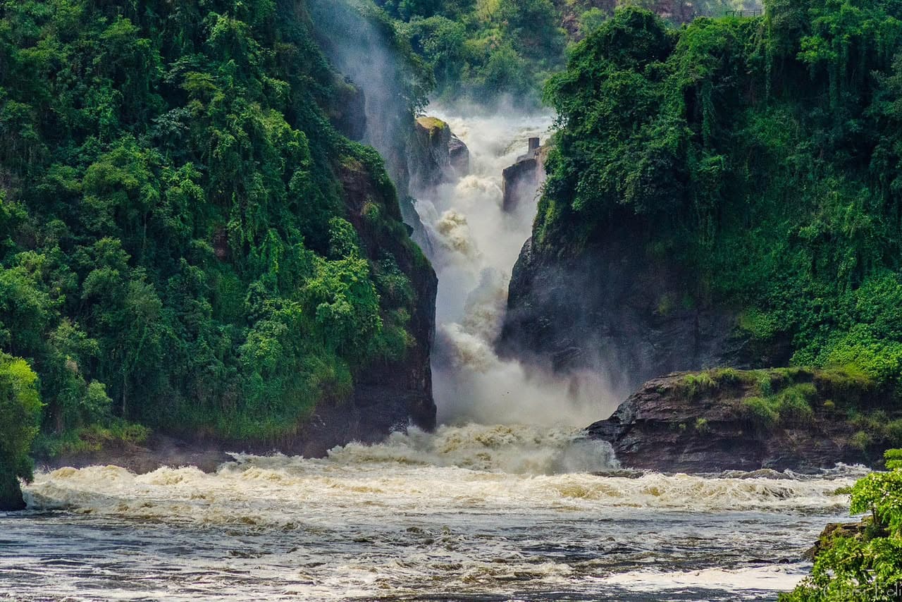 East Africa Safari Destinations Uganda Gorilla Trekking Murchison Falls Safari Uganda