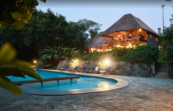 Turaco chimpanze lodge